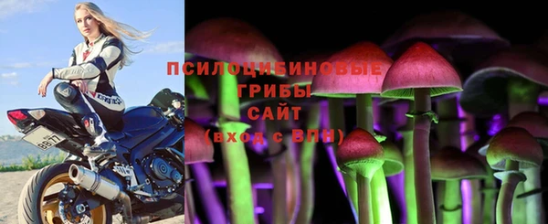 сатива Козельск