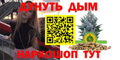 крисы Белореченск