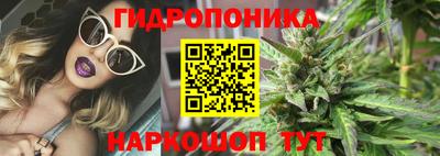 крисы Белореченск