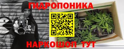 альфа пвп Бердск