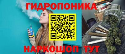 крисы Белореченск