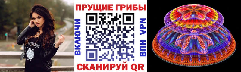 купить наркотики цена  Александров  Псилоцибиновые грибы Psilocybine cubensis 