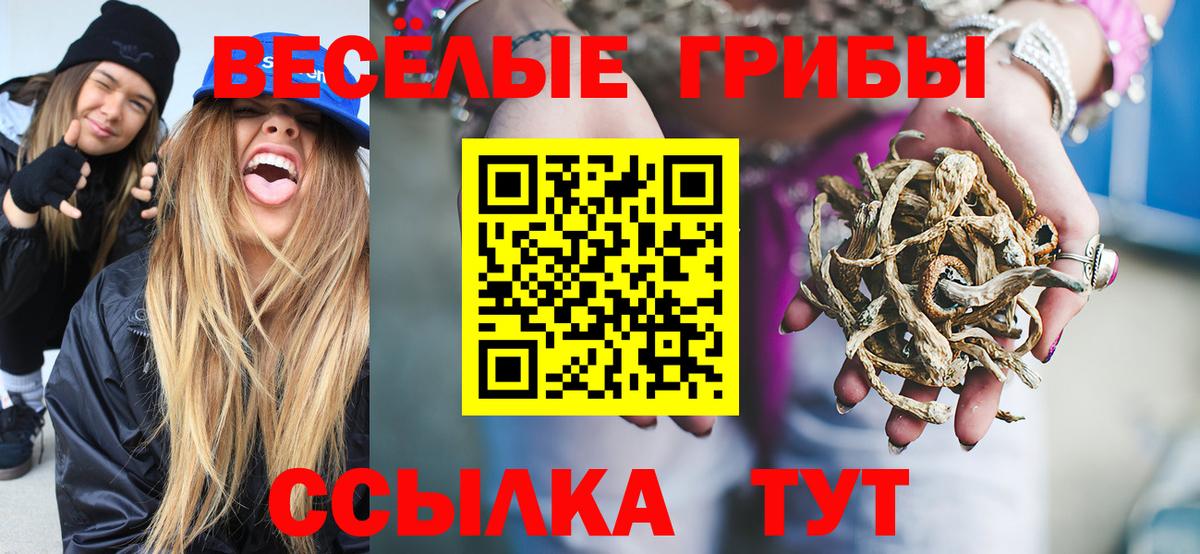 Псилоцибиновые грибы мицелий  Вход с VPN  Псилоцибиновые грибы прущие грибы  Александров 